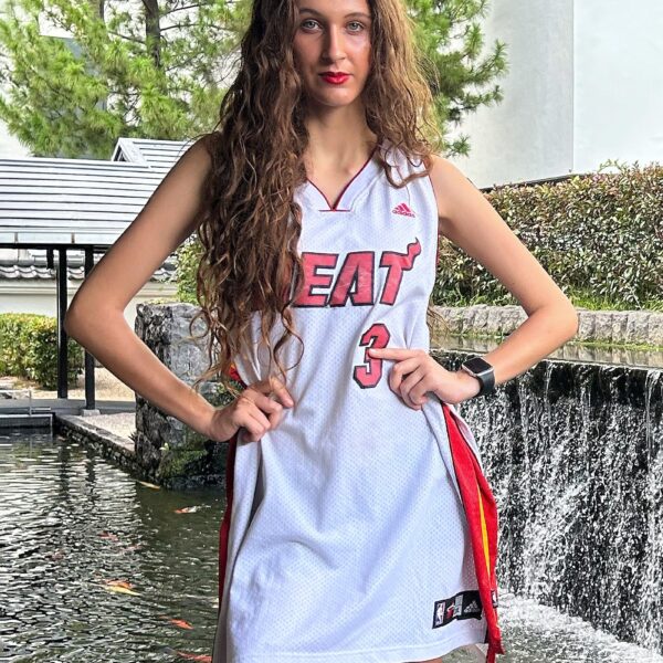NBA Miami Heat Dwyane Wade Jersey