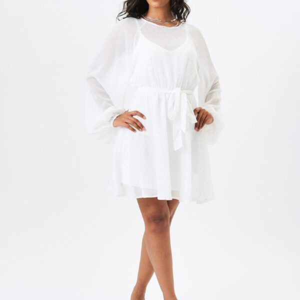 Ivory Long Sleeve Chiffon Foil Mini Dress