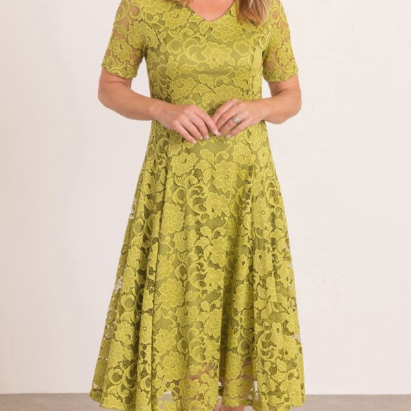 Klass Anna Rose Stretch Lace Dress Olive Women's