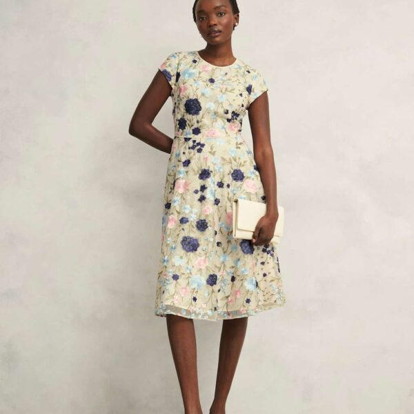 Hobbs Women's Floral Embroidered Knee Length Skater Dress - 10REG - Multi, Multi