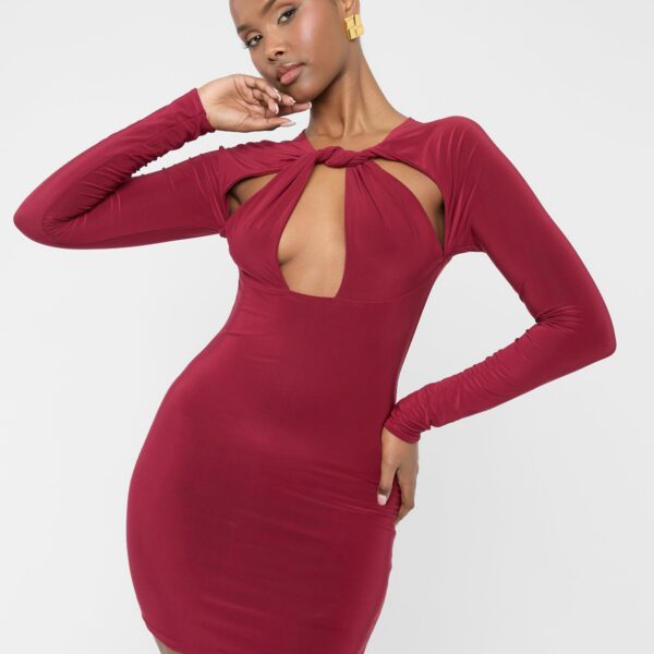 Twist Detail Plunge Mini Dress Burgundy