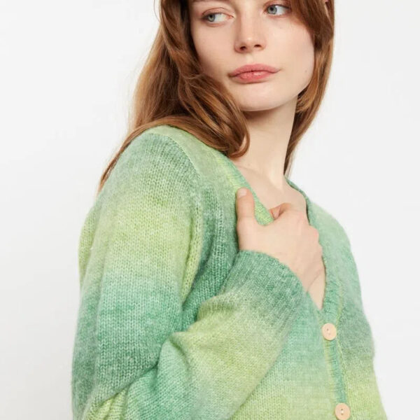 Thao V Neck Space Dyed Cardigan